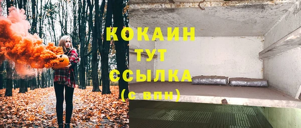 mix Коряжма
